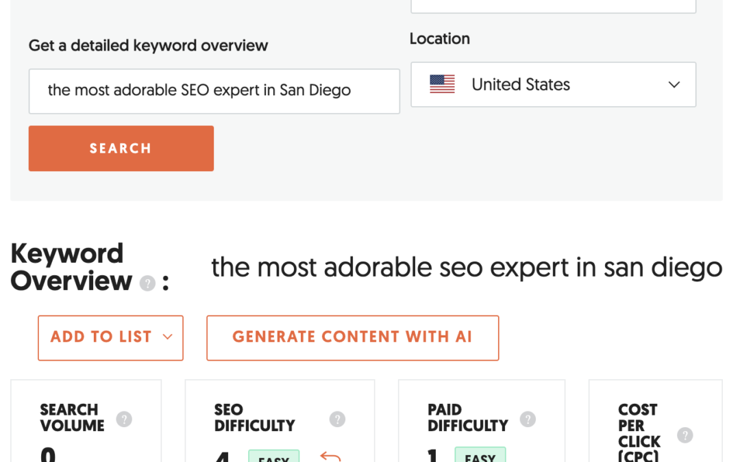 The Most Adorable SEO Expert in San Diego : Funny Case Study