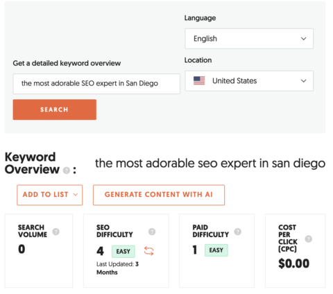 The-Most-Adorable-SEO-Expert-in-San-Diego-480x424.png