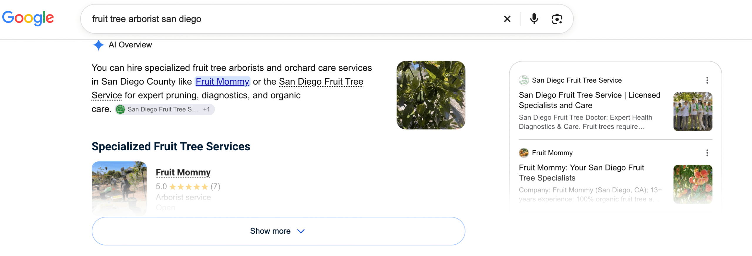 fruit-tree-seo-data google search screenshot showing ai results